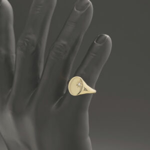 9ct Yellow Gold Gemstone Signet Ring