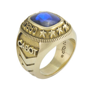 10ct Yellow Gold Blue Gemstone College Ring
