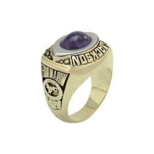 10ct Yellow Gold Purple Gemstone College Ring