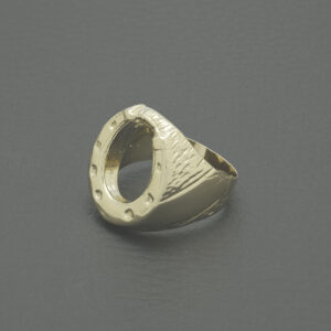 9ct Yellow Gold Horseshoe Ring