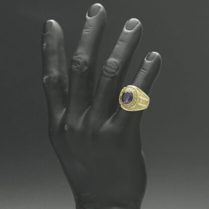 10ct Yellow Gold College Ring - Image 4
