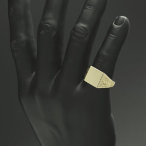9ct Yellow Gold Signet Ring