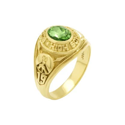 10ct Yellow Gold College Ring