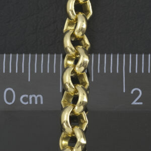 9ct Yellow Gold Belcher Chain 22&#8243; 5mm