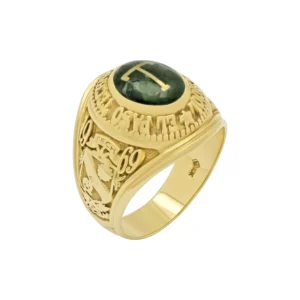 10ct Yellow Gold College Ring