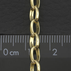 9ct Yellow Gold Belcher Chain 30″ 5mm