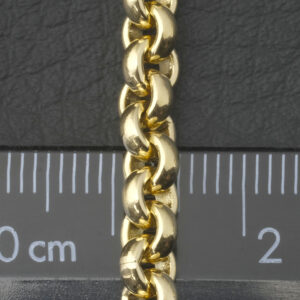 9ct Yellow Gold Belcher Chain 22″ 5mm