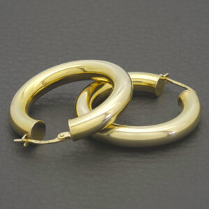 9ct Yellow Gold Hoop Earrings