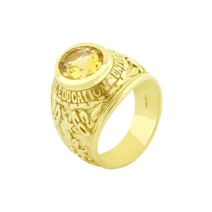 9ct Yellow Gold College Ring