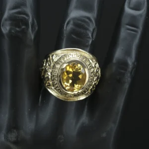 9ct Yellow Gold College Ring