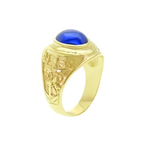 9ct Yellow Gold College Ring