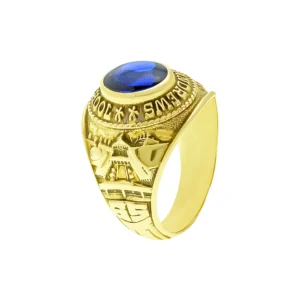 10ct Yellow Gold College Ring