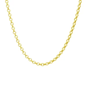 9ct Yellow Gold Belcher Chain 22″ 4mm