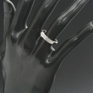 9ct White Gold 0.25ct Diamond Channel Eternity Ring
