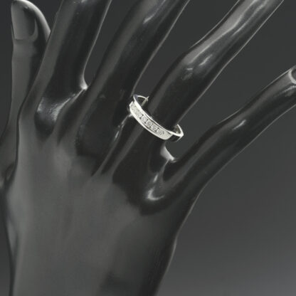 9ct White Gold 0.25ct Diamond Channel Eternity Ring - Image 4