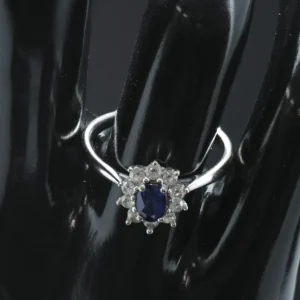18ct White Gold 0.60ct Sapphire & 0.33ct Diamond Cluster Ring