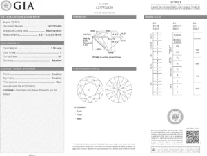 Platinum 1.28ct Diamond Hidden Halo Ring